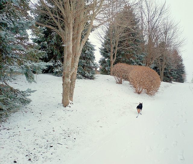 Maggie hurrying home.