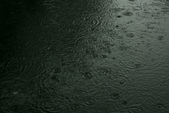 Rain on a Lakeland Tarn