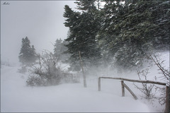 Snowstorm in Parnassos!