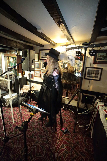 EOS 6D Peter Harriman 21 30 06 08776 StevieNicks unproc