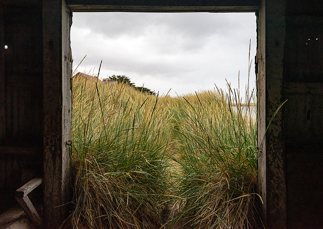 grassy outlook