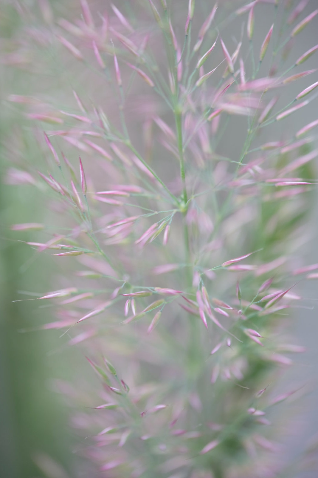 DSCF5484