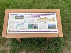A fishy tale from Ullswater