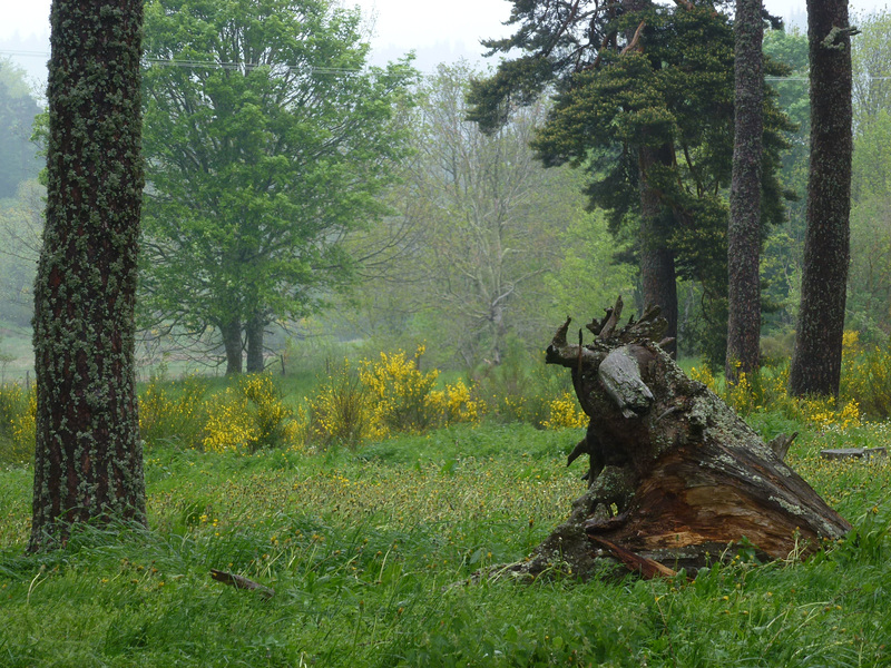 20150514 -17 Chastagnier Lozere VTT-Rando (163) al