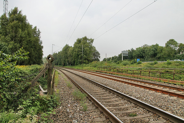 Bahnstrecke Bochum–Gelsenkirchen (Herne-Holsterhausen) / 26.08.2017