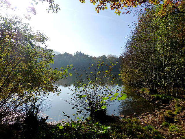 DE - Mechernich - Hiking along the Bleiberg (Lead hill)