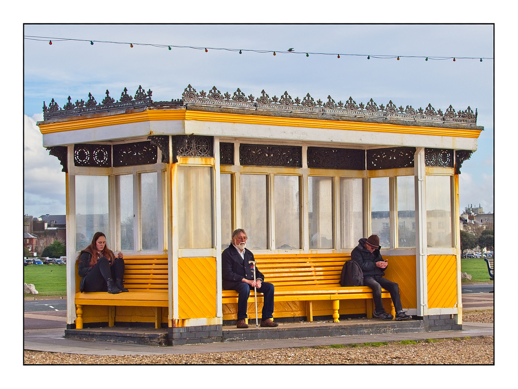 Big Yellow Shelter