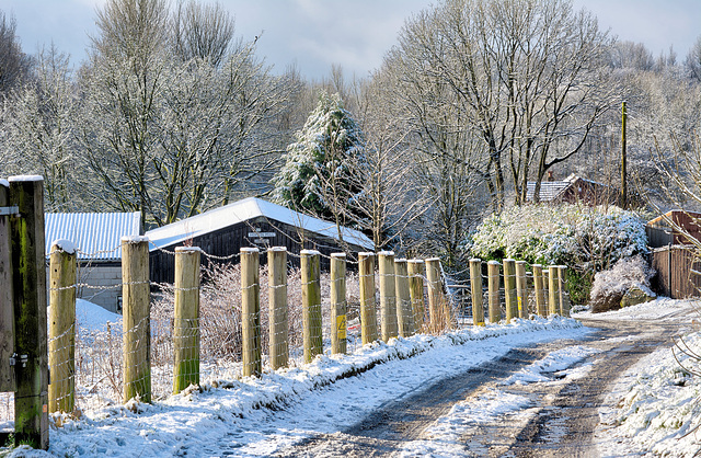 A Lancashire Winter fence