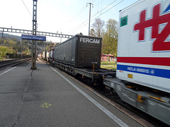 Güterzug ( IV )