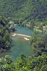 River Kupa the border with Croatia-Slovenia