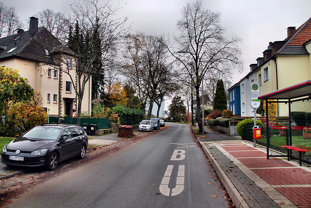 Franziskusstraße (Bochum-Weitmar) / 2.11.2024