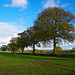 Fields near Dunston