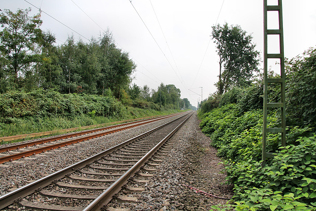 Bahnstrecke Bochum–Gelsenkirchen (Herne-Holsterhausen) / 26.08.2017