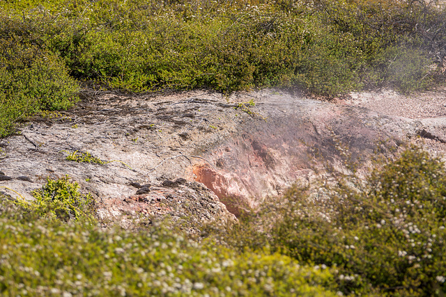 Neuseeland - Craters of the Moon