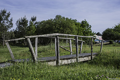 Passerelle rustique ! HFF ! (+ 1 PIP)