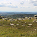 The Brocken, Germany