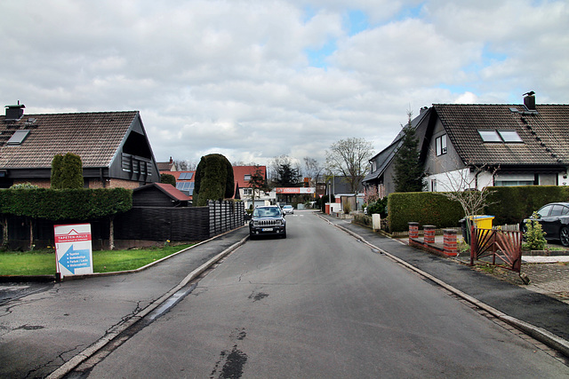 Schleppweg (Kamen-Südkamen) / 16.03.2024