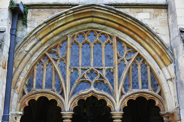 norwich cathedral cloister