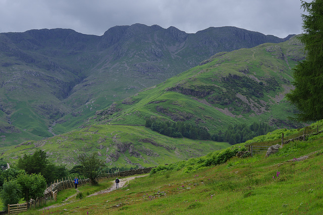 Crinkle Crags from Old Dungeon Ghyll