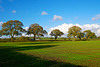 Fields near Dunston
