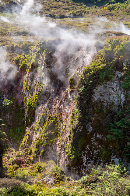 Neuseeland - Craters of the Moon