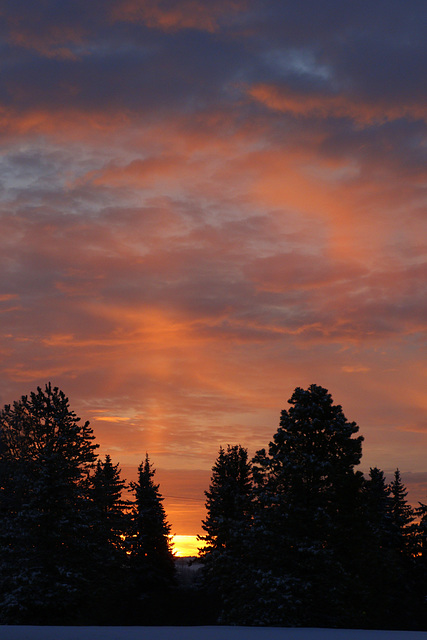 Alberta Winter Sunrise