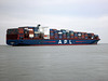 APL Savannah