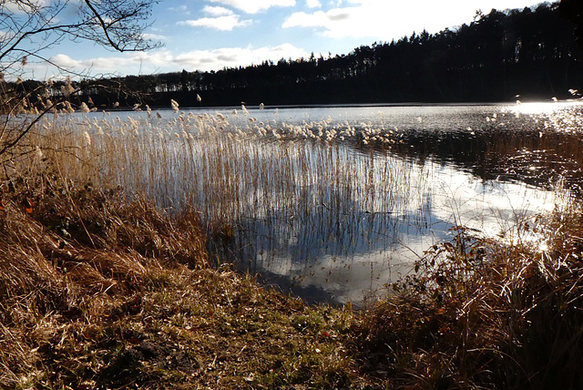 Abschied vom Winter!