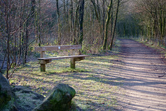 Bench beside the Longdendale Trail