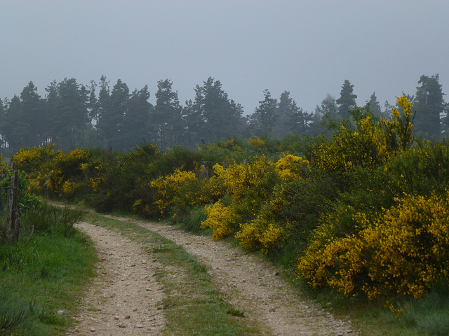 20150514 -17 Chastagnier Lozere VTT-Rando (164) al