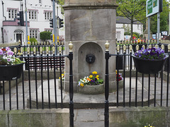 Disley Fountain HFF