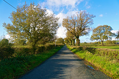 Long Lane, Dunston