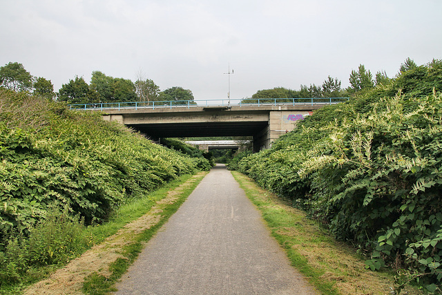 Brücke der A43 über der ehem. Zechenbahn Shamrock (Herne) / 26.08.2017