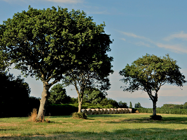 le temps des moissons,