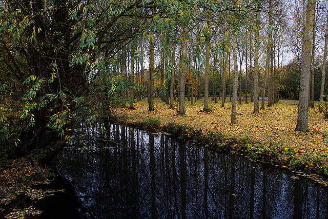 La rivière Poulain , à Morancez ( 28 )