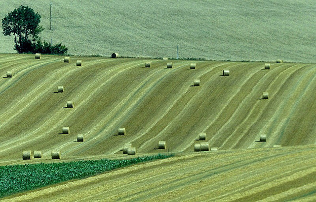 après la moisson