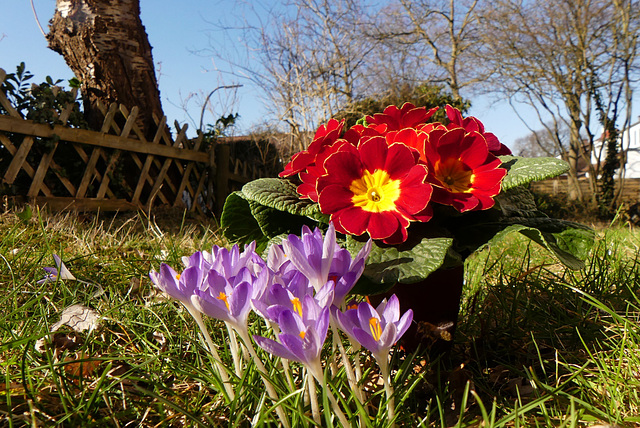 Frühling on the way