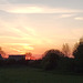 Sunset on the Back Field near the Racecourse