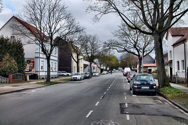 Unnaer Straße (Kamen-Südkamen) / 16.03.2024