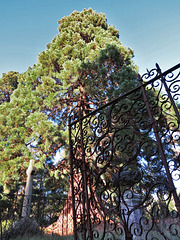 brookwood cemetery, surrey