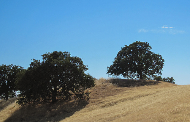 Parkfield Coalinga Road (3541)