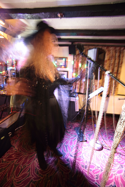 EOS 6D Peter Harriman 21 28 42 08771 StevieNicks unproc