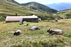 Relaxing und die Sonne genießen (Note)