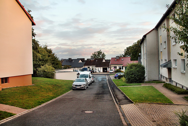 Am Dreischen (Bergkamen-Overberge) / 17.09.2022