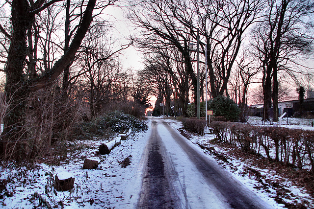 Hirtenweg (Duisburg-Mündelheim) / 20.01.2024