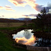 Water as a mirror when calm, is one of its greatest attractions in a garden setting...