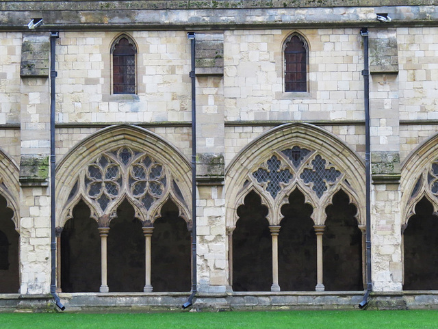 norwich cathedral cloister