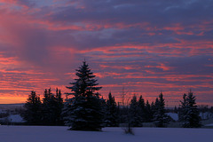 Alberta Winter Sunrise