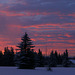 Alberta Winter Sunrise