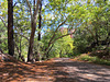 South Fork Cave Creek